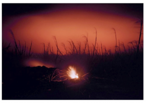 Sugar Cane Burn, Maui, H © Elaine Mayes