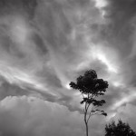 Manoa Sky © David Ulrich